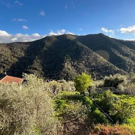 Ac & Garden Olive Grove Oasis * Casanova Lerrone