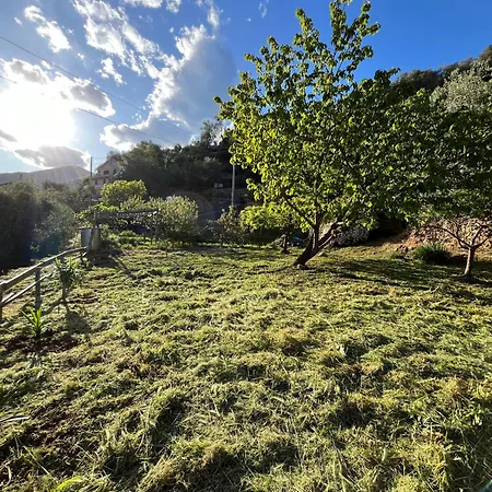 Dom wakacyjny Ac & Garden Olive Grove Oasis