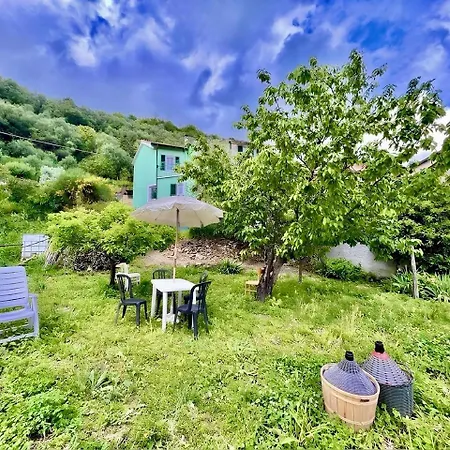 Ac & Garden Olive Grove Oasis *