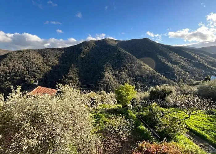 Ac & Garden Olive Grove Oasis * Casanova Lerrone