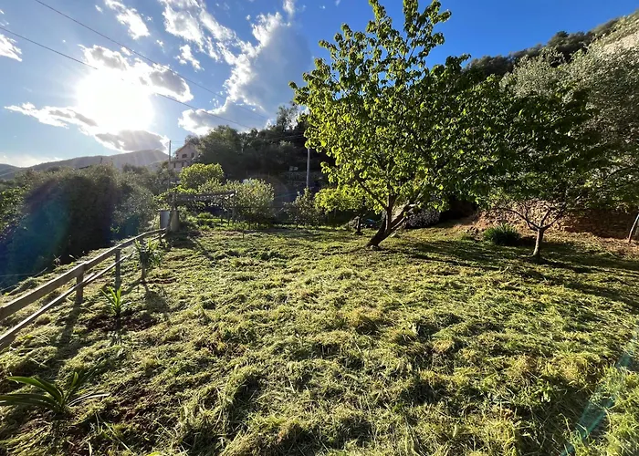 Semesterbostad Ac & Garden Olive Grove Oasis